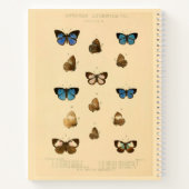 Afrikaanse Butterfly Hardcover Spiral Sketchbook Notitieboek (Achterkant)