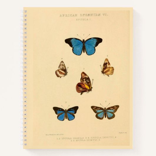Afrikaanse Butterfly Hardcover Spiral Sketchbook Notitieboek (Voorkant)