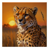 Afrikaanse Cheetah bij zonsondergang Perfect Poster (Voorkant)
