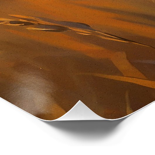 Afrikaanse Cheetah bij zonsondergang Perfect Poster (Hoek)