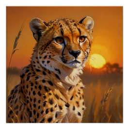 Afrikaanse Cheetah bij zonsondergang Perfect Poster