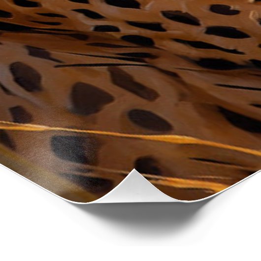 Afrikaanse Cheetah bij zonsondergang Perfect Poster (Hoek)