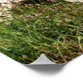 Afrikaanse Cheetah die op gras loopt Poster (Hoek)