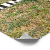 Afrikaanse Cheetah die op gras loopt Poster (Hoek)