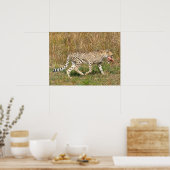 Afrikaanse Cheetah die op gras loopt Poster (Keuken)