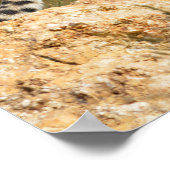 Afrikaanse Cheetah op rots Poster (Hoek)