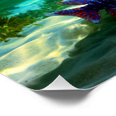 Afrikaanse Cichliden Pauw Cichlid Aquarium Art Perfect Poster (Hoek)