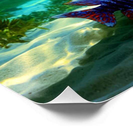 Afrikaanse Cichliden Pauw Cichlid Aquarium Art Perfect Poster (Hoek)