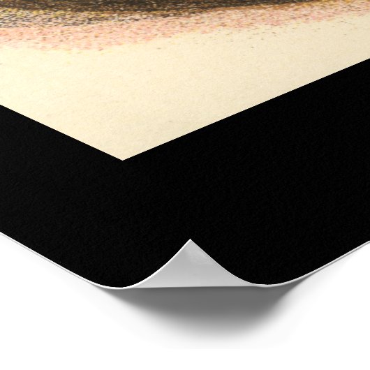 Afrikaanse civet poster (Hoek)