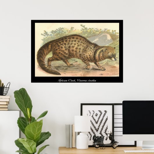Afrikaanse civet poster (Thuiskantoor)
