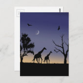 Afrikaanse dageraad - giraffes briefkaart (Voorkant / Achterkant)