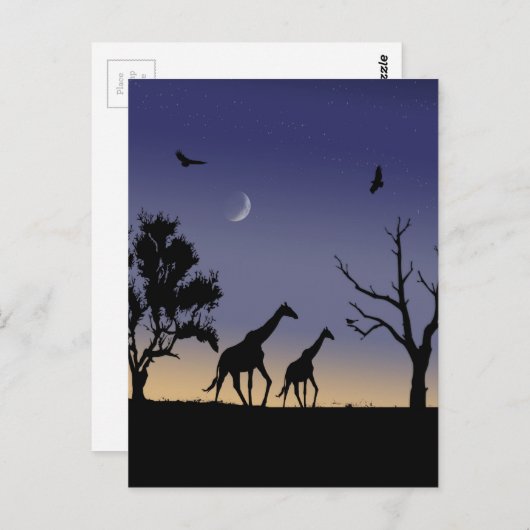 Afrikaanse dageraad - giraffes briefkaart (Voorkant / Achterkant)