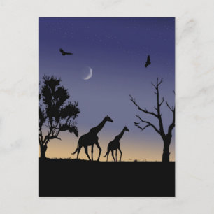 Afrikaanse dageraad - giraffes briefkaart