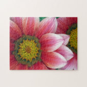 Afrikaanse Daisies Legpuzzel (Horizontaal)