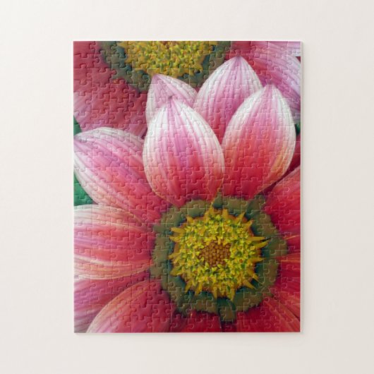 Afrikaanse Daisies Legpuzzel (Verticaal)