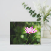 Afrikaanse daisy briefkaart (Staand voorkant)