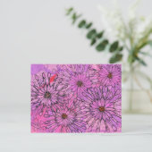 Afrikaanse Daisy Cape Daisies Pink Flowers Floral  Briefkaart (Staand voorkant)