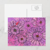 Afrikaanse Daisy Cape Daisies Pink Flowers Floral  Briefkaart (Voorkant / Achterkant)