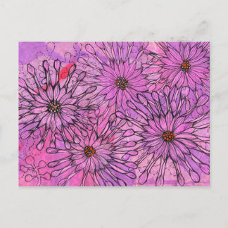 Afrikaanse Daisy Cape Daisies Pink Flowers Floral  Briefkaart