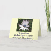 Afrikaanse Daisy Card Kaart (Achterkant)