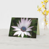 Afrikaanse Daisy Card Kaart (Gele Bloem)