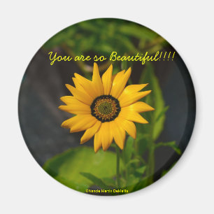 Afrikaanse Daisy-Circle Magnet
