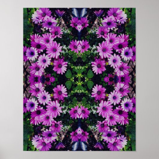 Afrikaanse Daisy Flowers Kijk Abstract Poster (Voorkant)
