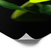 Afrikaanse Daisy Fluorescent Yellow Print (Hoek)