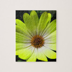 Afrikaanse Daisy Fluorescent Yellow Puzzle Legpuzzel