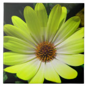 Afrikaanse Daisy Fluorescent Yellow Tile Tegeltje (Voorkant)