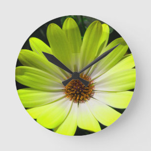Afrikaanse Daisy Fluorescent Yellow Wall klok