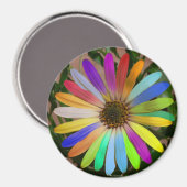 Afrikaanse Daisy kleurrijke magneet (Voorkant / Achterkant)