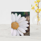 Afrikaanse Daisy Notecard Kaart (Gele Bloem)