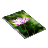Afrikaanse daisy notitieboek (Rechterzijde)