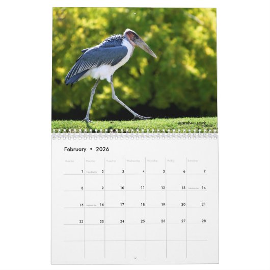 Afrikaanse dieren 12-maandenkalender kalender (Feb 2026)