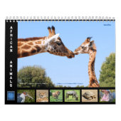 Afrikaanse dieren 12-maandenkalender kalender (Hoes)