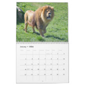 Afrikaanse dieren 12-maandenkalender kalender (Jan 2026)