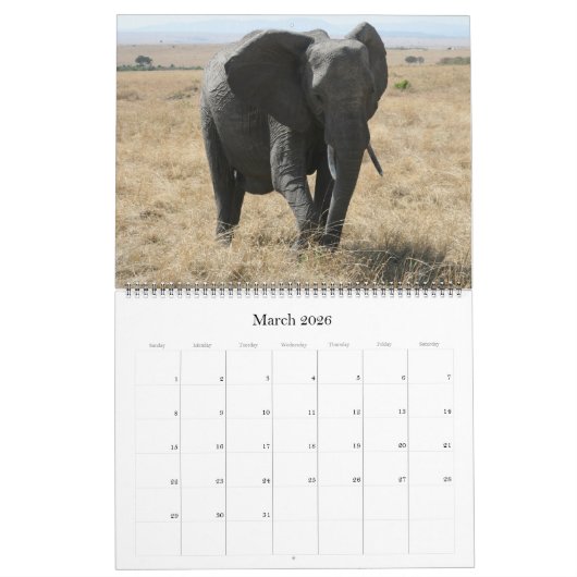 Afrikaanse dieren 2025 Grote Kalender (Mar 2026)