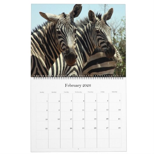 Afrikaanse dieren 2025 Grote Kalender (Feb 2026)