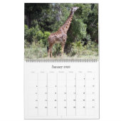 Afrikaanse dieren 2025 Grote Kalender (Jan 2026)