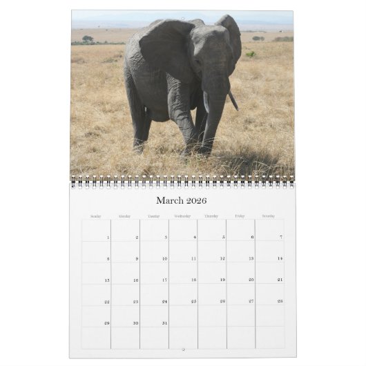 Afrikaanse dieren 2025 kalender (Mar 2026)