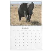 Afrikaanse dieren 2027 grote kalender (Mar 2027)
