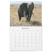 Afrikaanse dieren 2027 kalender (Mar 2027)