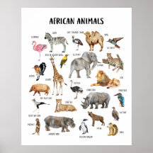Afrikaanse Dieren Educatieve Klasposter