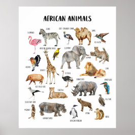Afrikaanse Dieren Educatieve Klasposter Poster