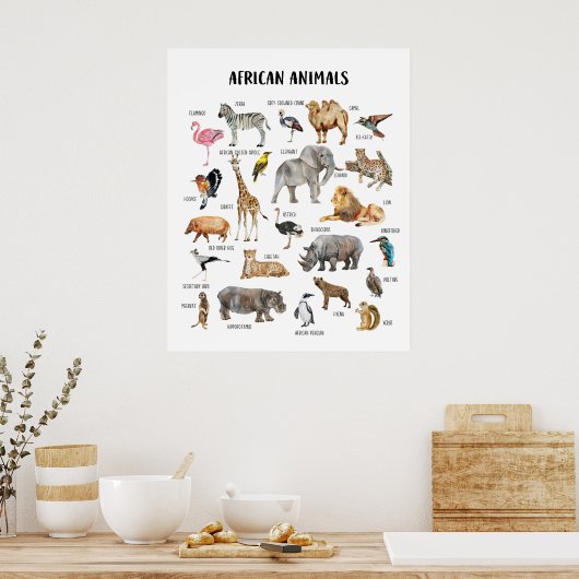Afrikaanse Dieren Educatieve Klasposter Poster (Keuken)