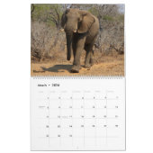 Afrikaanse dieren en vogels 2026 kalender (Mar 2026)