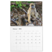 Afrikaanse dieren en vogels 2026 kalender (Feb 2026)