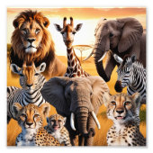 Afrikaanse dieren foto afdruk (Voorkant)