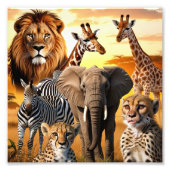 Afrikaanse dieren foto afdruk (Voorkant)